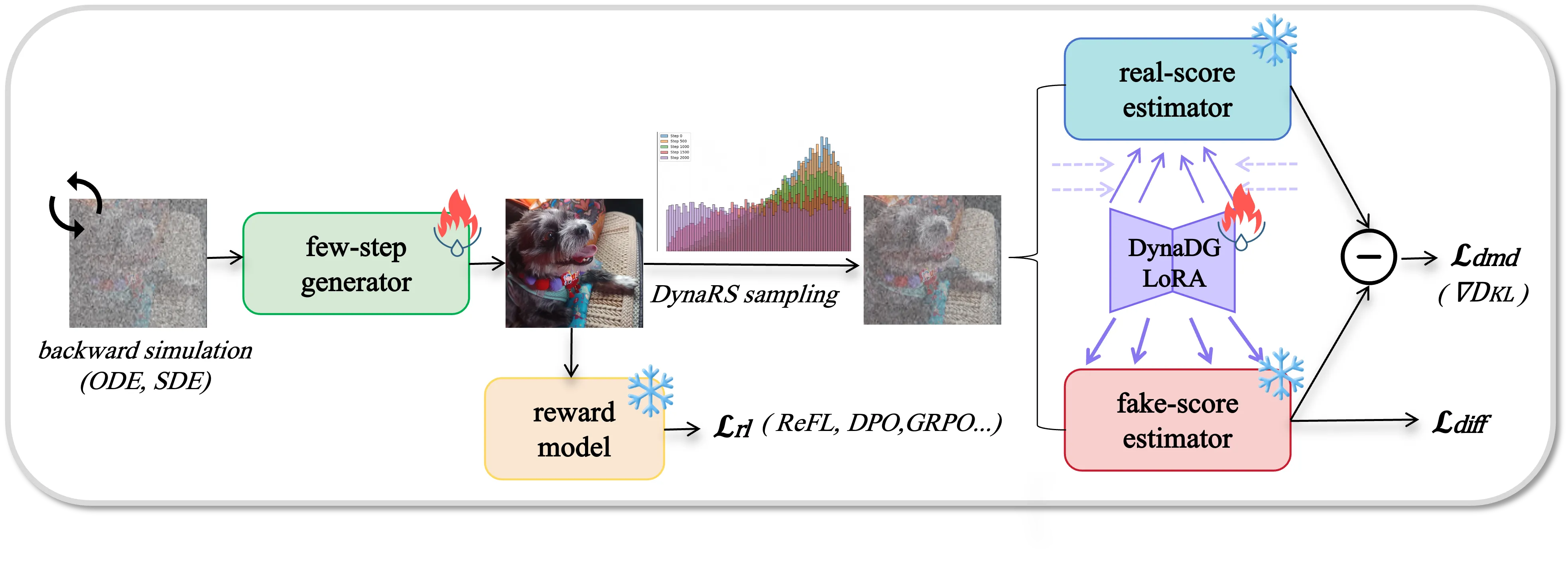 Diagram of DMDR